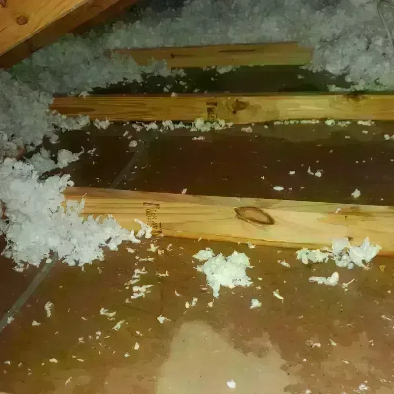 Attic Water Damage in Pierce, NE