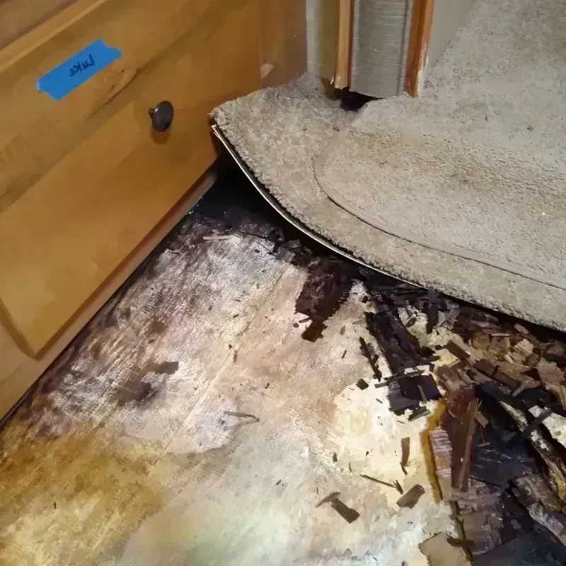 Wood Floor Water Damage in Pierce, NE